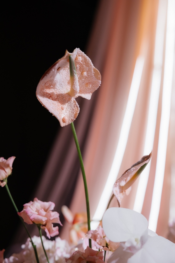 Рюши, сочная флористика и настоящая весна на