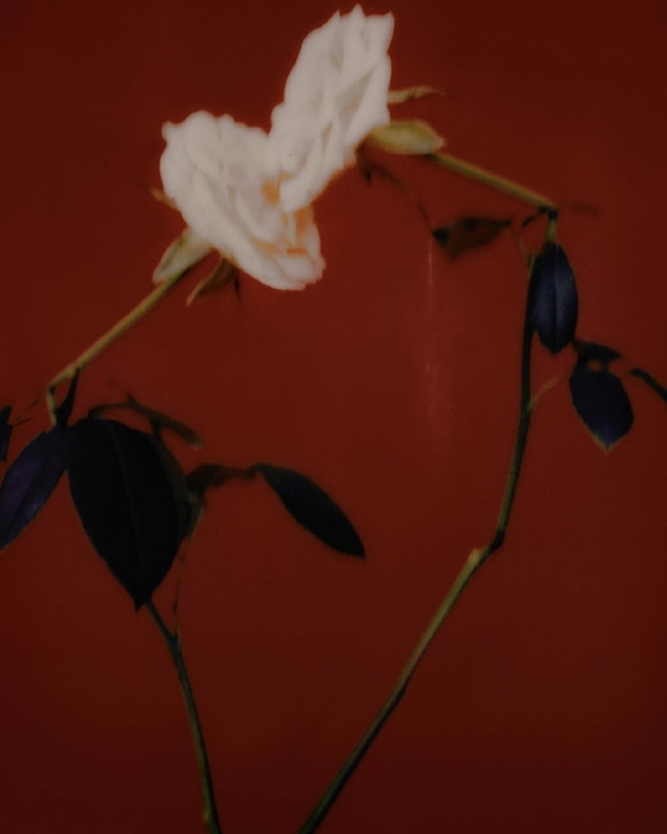 7 подкастов, которые помогут справиться с тревогой