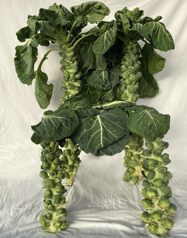 В каких цветах оформить свадьбу летом 2024?