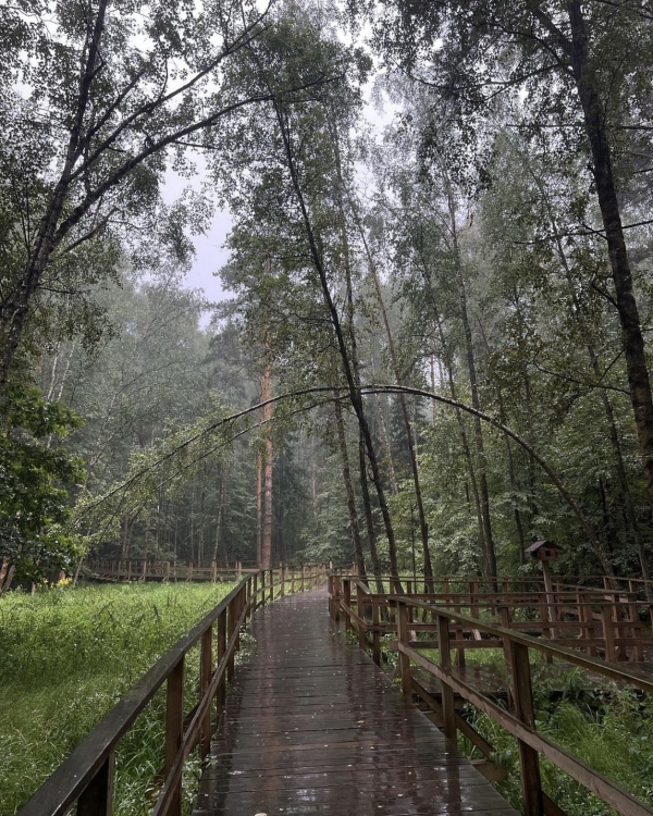 Все на улицу! Рассказываем, где гулять в