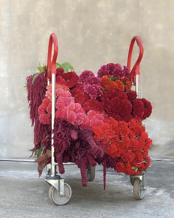 В каких цветах оформить свадьбу летом 2024?