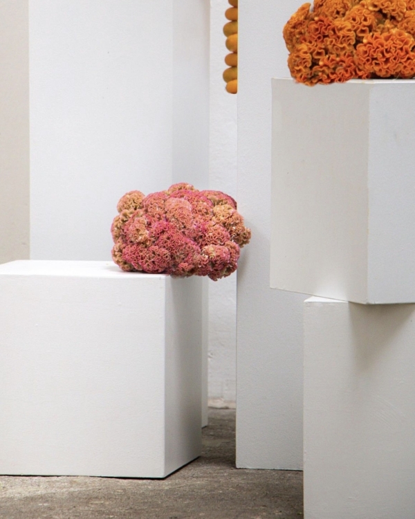 В каких цветах оформить свадьбу летом 2024?