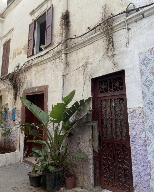 Путешествие начинается: лучшие непляжные направления для медового