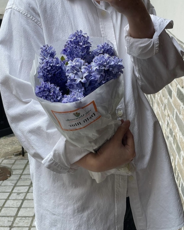 10 сезонных цветов, которые должны быть в