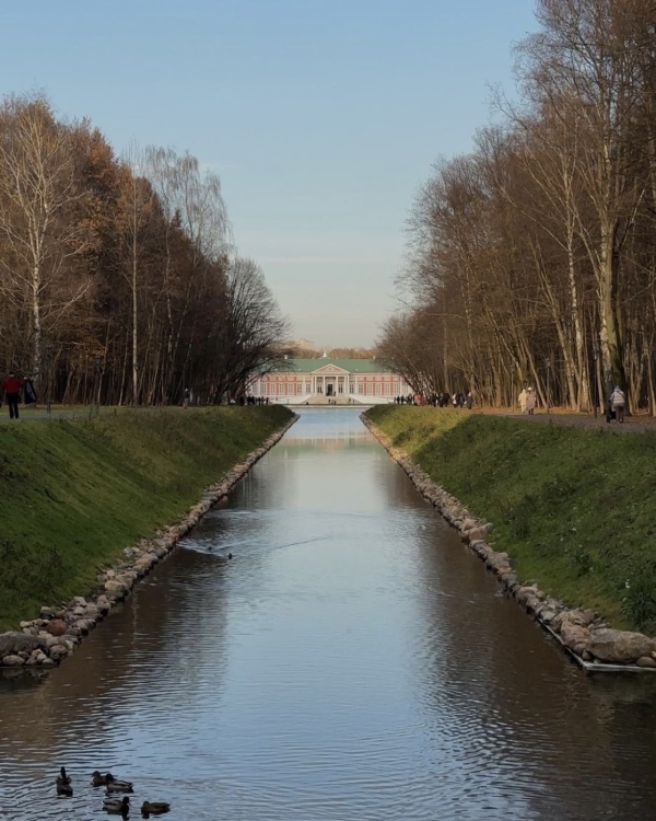 Книжный клуб в «Едва знакомы», бабка с