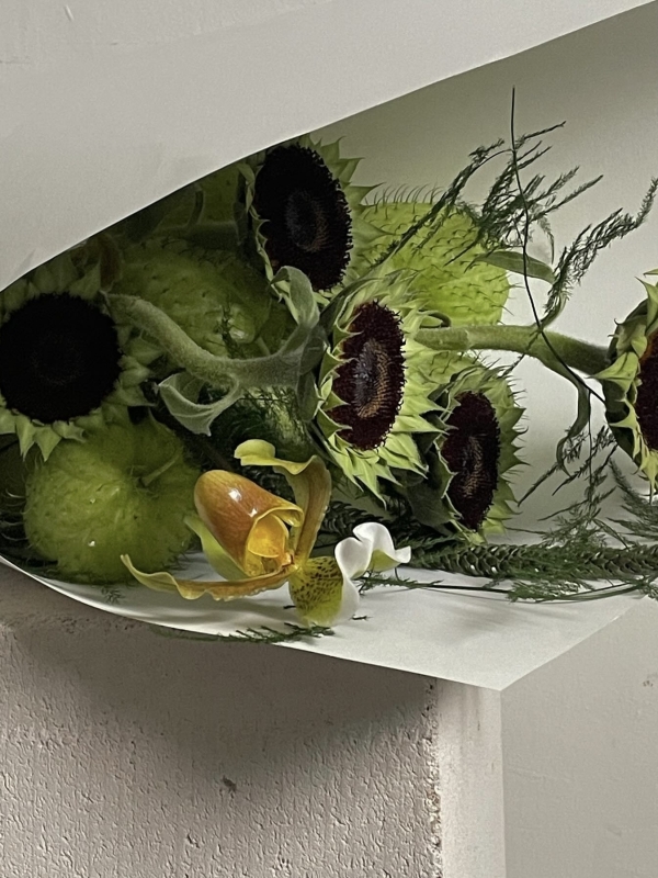 Фисташково-оливковый — главный цвет Месяца моды FW'24. Как