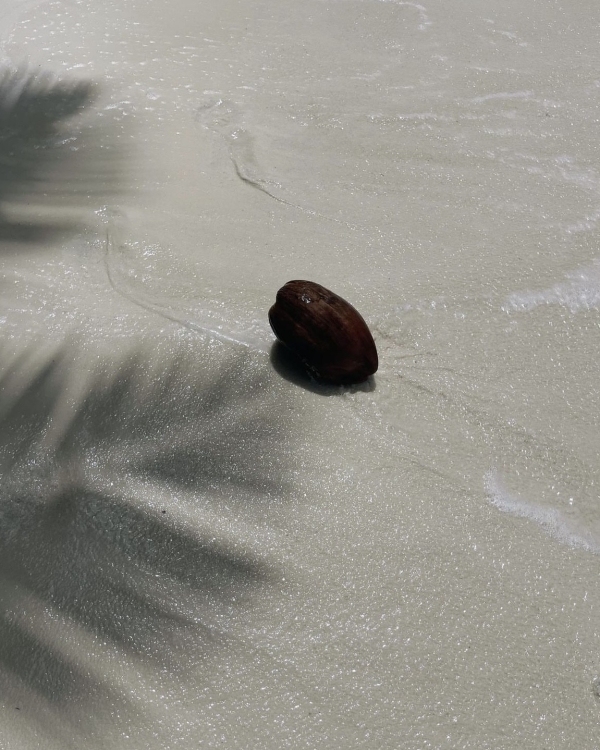 Море волнуется раз. Лучшие пляжные направления для