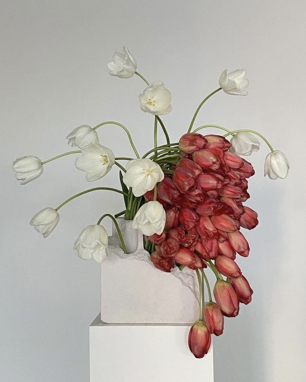 10 сезонных цветов, которые должны быть в