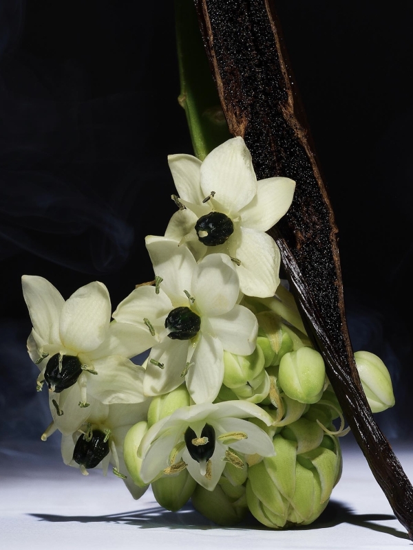 Фисташково-оливковый — главный цвет Месяца моды FW'24. Как