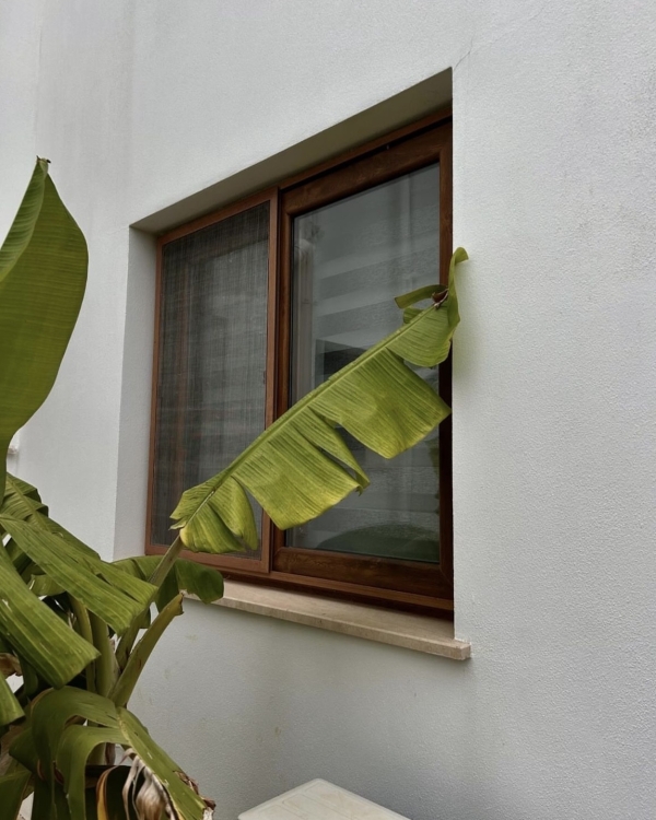 Море волнуется раз. Лучшие пляжные направления для