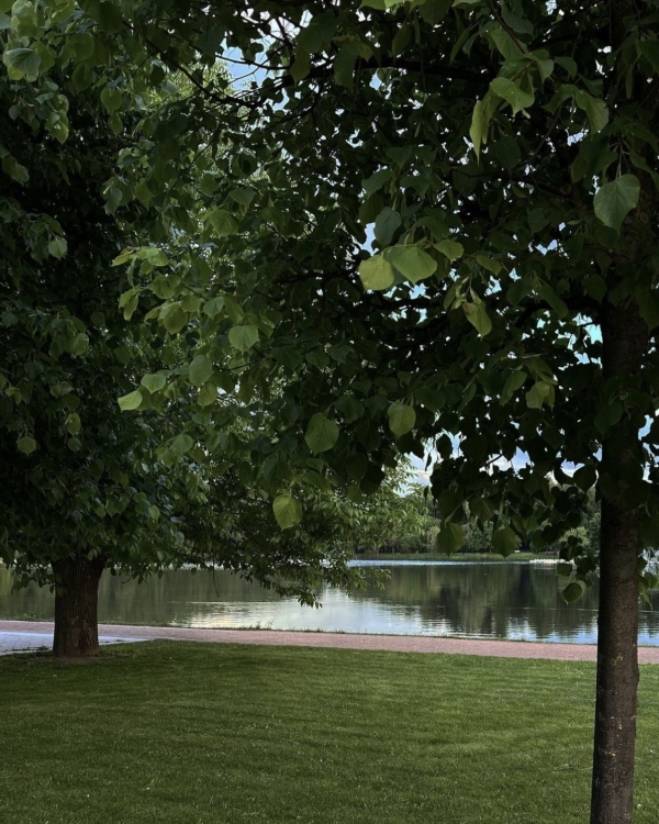 Все на улицу! Рассказываем, где гулять в