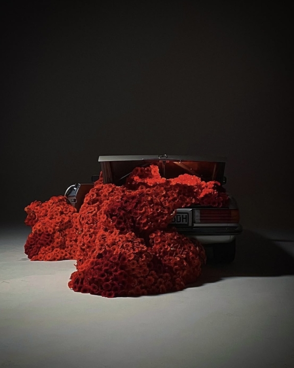 Кто создает цветочные инсталляции для мировых брендов?