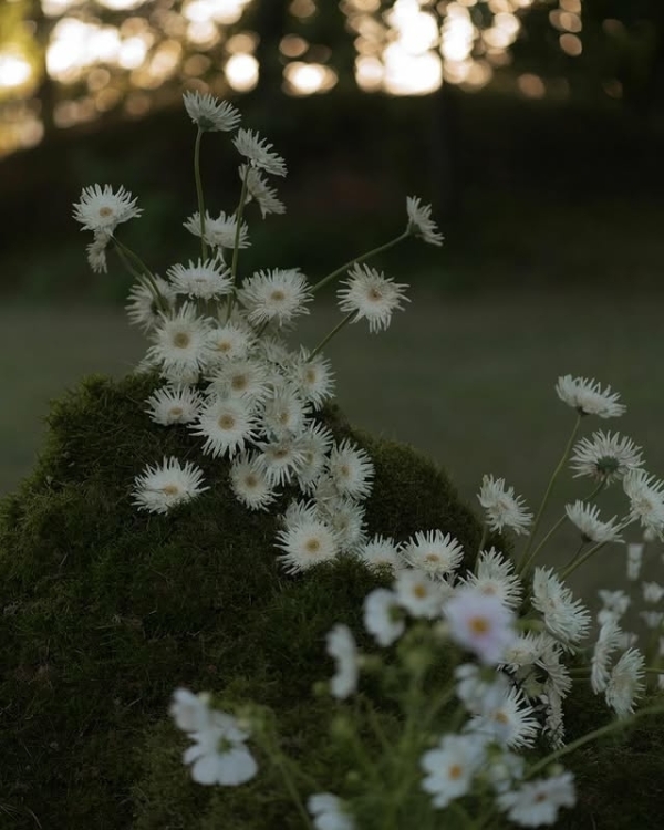 Зона церемонии как арт-объект. Вдохновляемся идеями свадебных