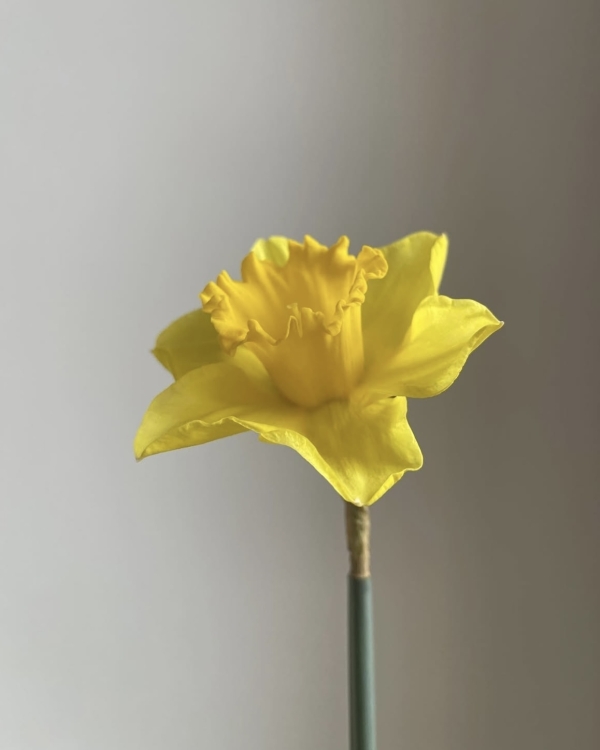 Весело, вкусно и познавательно. Где праздновать девичник