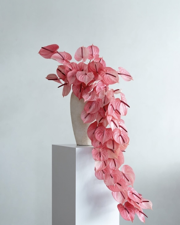 Чем длиннее, тем лучше. 20+ стильных референсов