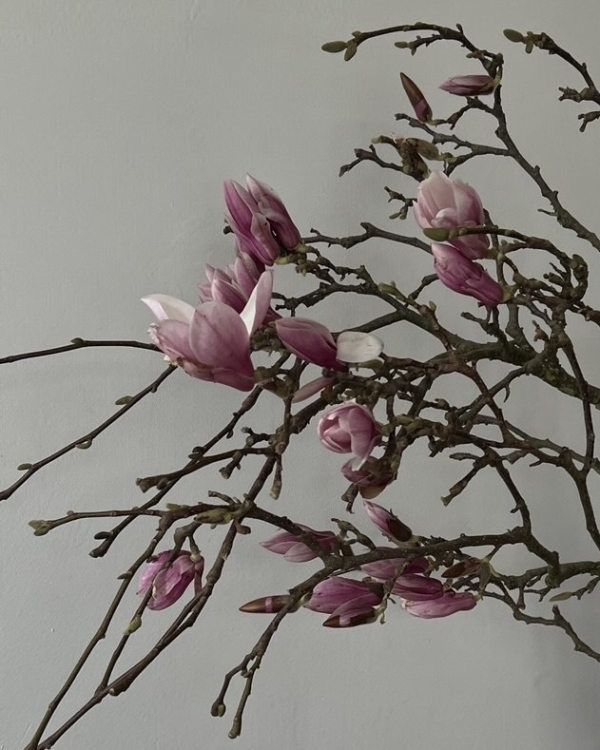 Какие цветы дарить, чтобы они не завяли