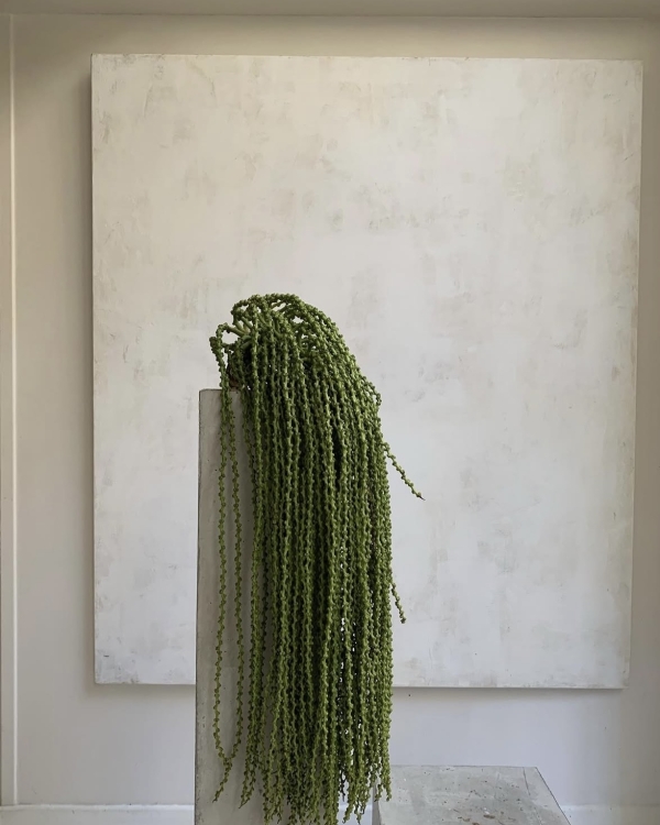 Чем длиннее, тем лучше. 20+ стильных референсов