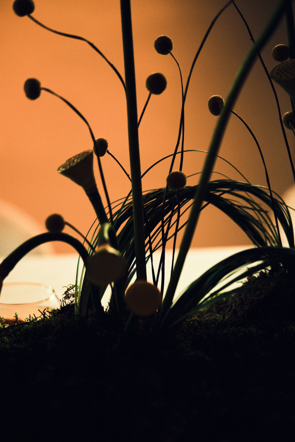 Агентства Wedding People