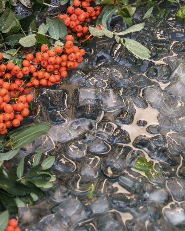 Собирайся, мы уезжаем! 10 романтичных идей для