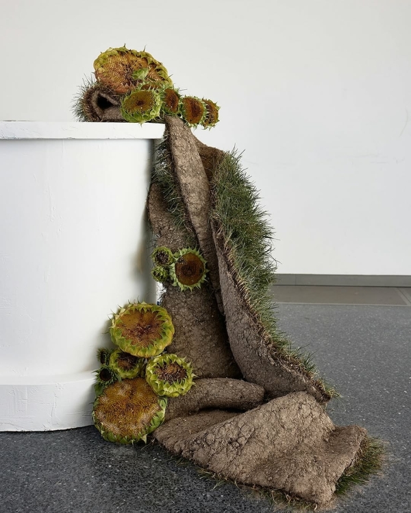 Красивые даты для свадьбы в 2026 году