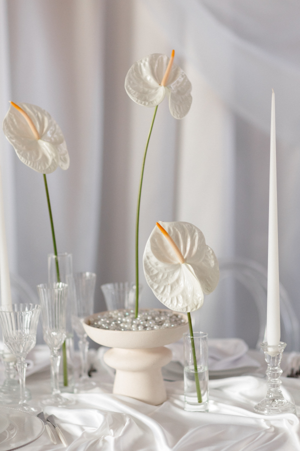 Декораторы ALANIA