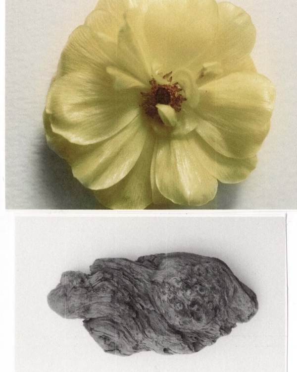 Как небанально пригласить на свадьбу?