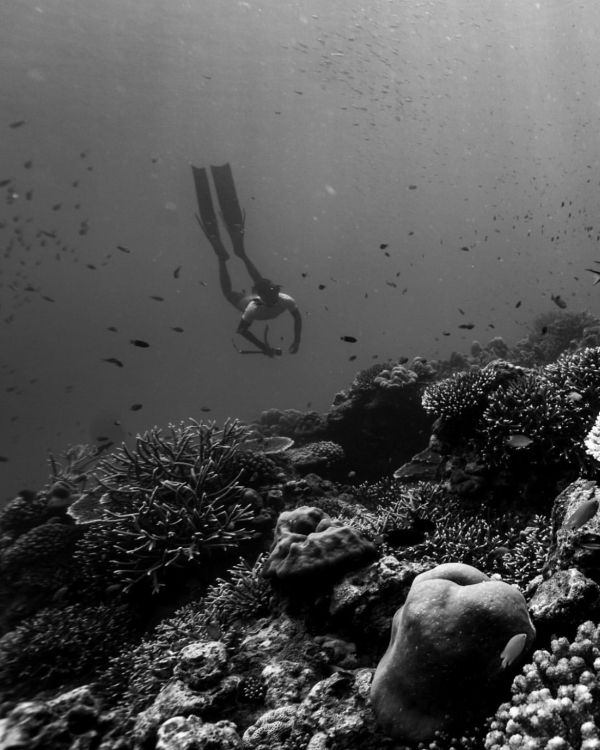 Авиарежим включен. 7 идеальных направлений для earlymoon