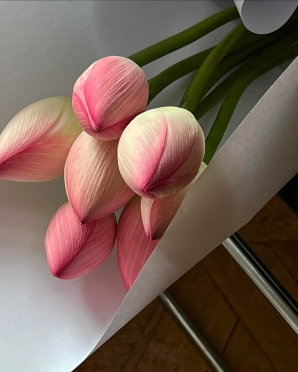 Какие цветы дарить, чтобы они не завяли