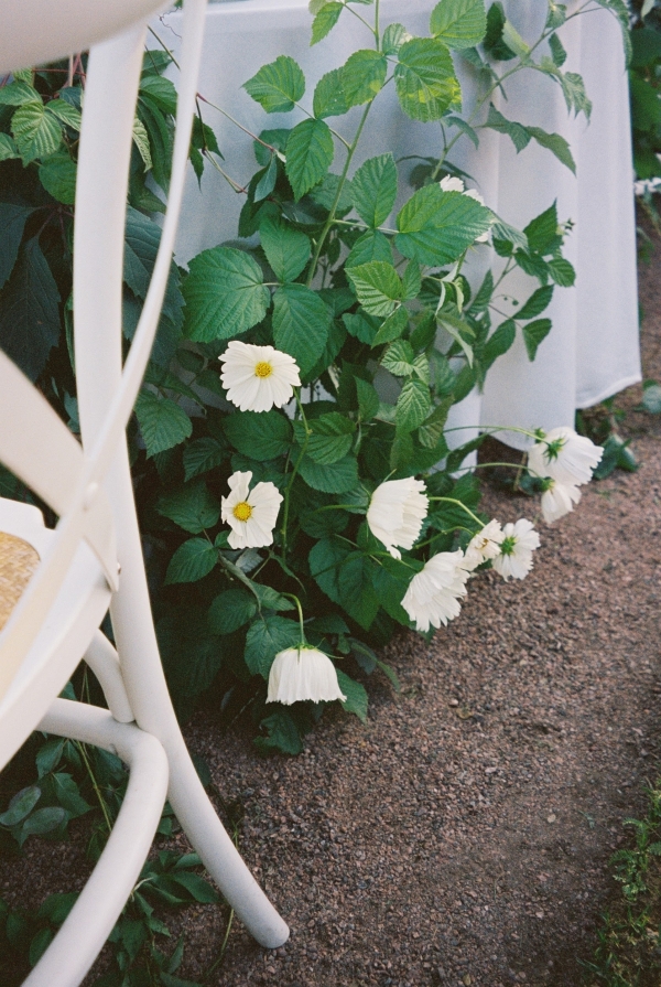 Интервью с невестой: о восточной мудрости в