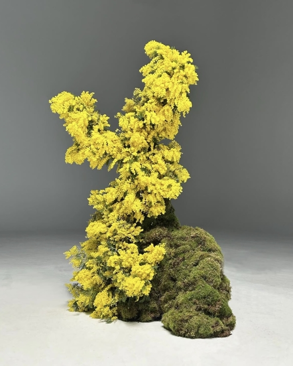 Кто создает цветочные инсталляции для мировых брендов?