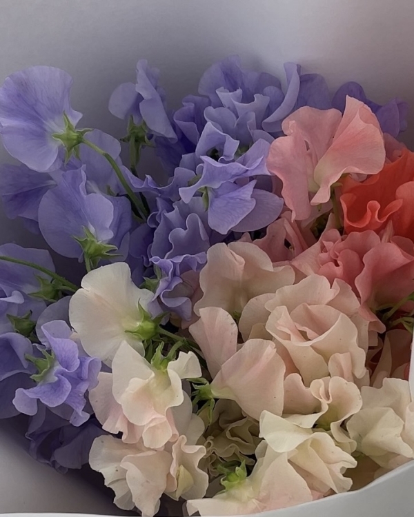 Какие цветы дарить, чтобы они не завяли