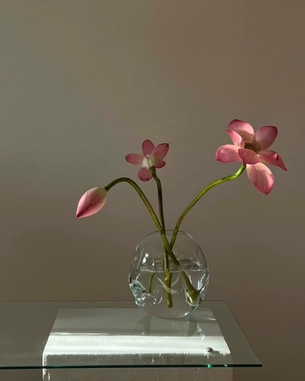 Какие цветы дарить, чтобы они не завяли