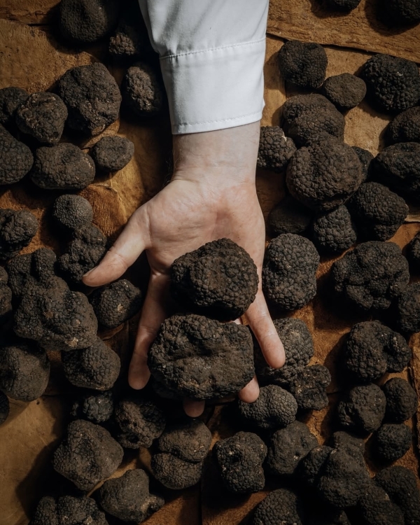 Весело, вкусно и познавательно. Где праздновать девичник