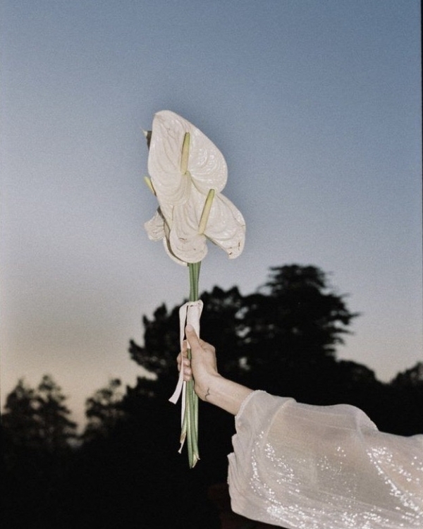 Деликатный вопрос. Зачем нужен брачный договор и