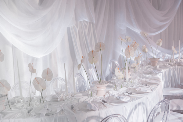 Декораторы ALANIA