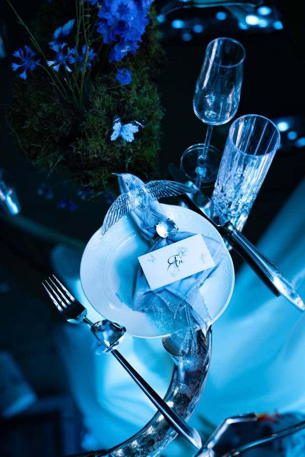 Декораторы ALANIA