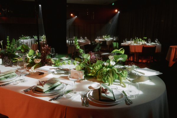 Декораторы ALANIA