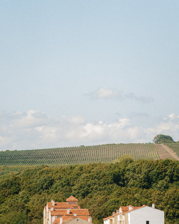 Агентства Morozova Wedding