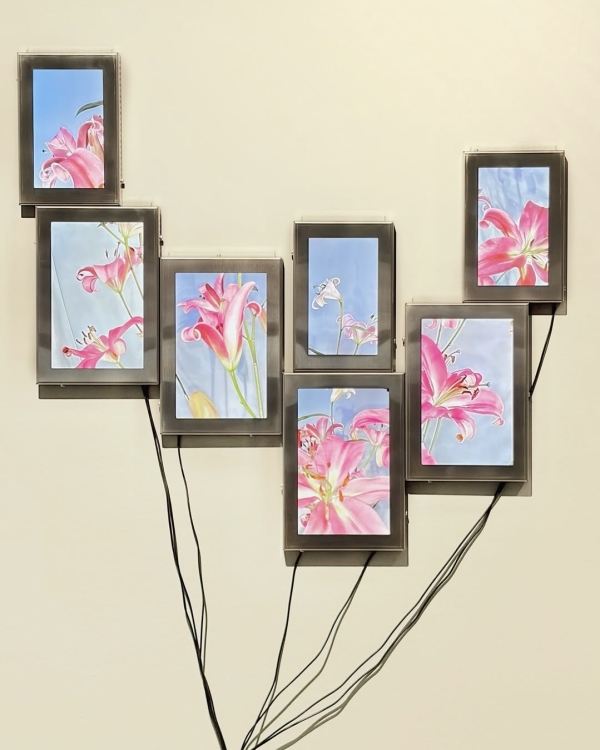 II Международная биеннале в МАММ и другие