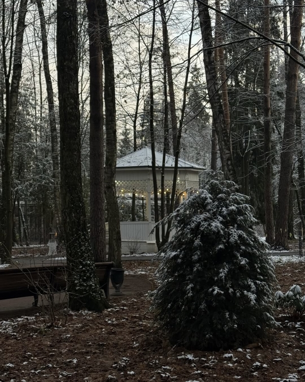 Идеи свиданий весной: 10 неочевидных и эстетичных