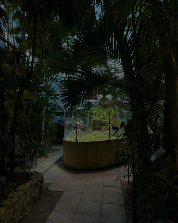 15 идей на весну в Москве: для