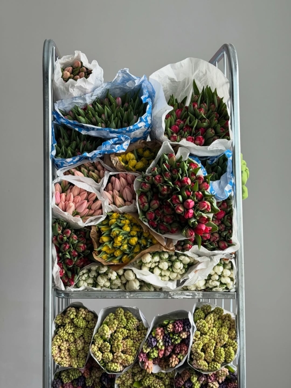 Где покупать самые красивые цветы в Москве?