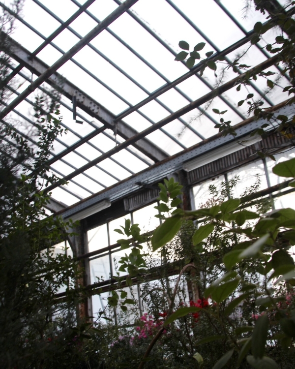 Идеи свиданий весной: 10 неочевидных и эстетичных