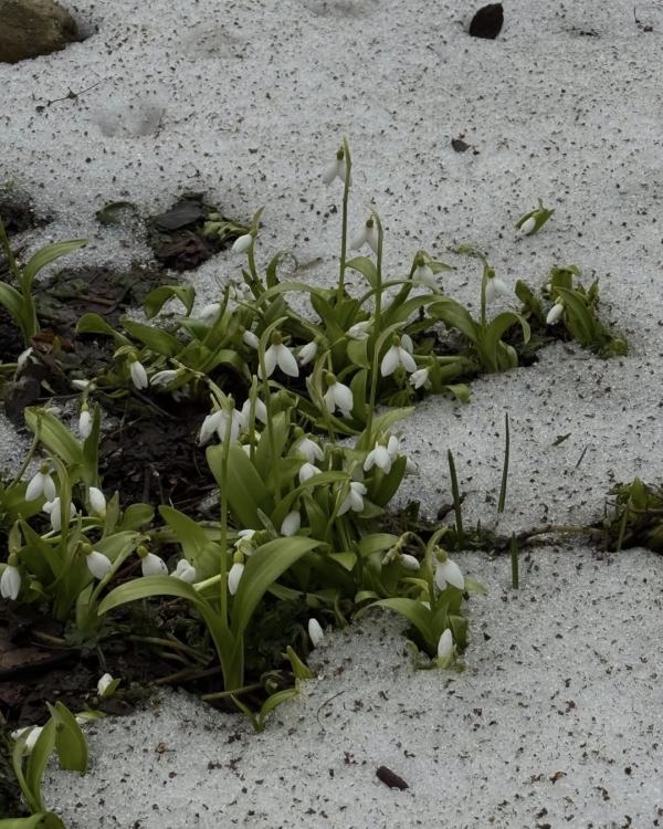 15 идей на весну в Москве: для
