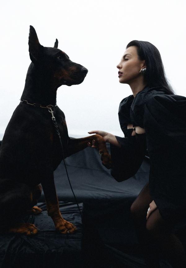 Агентства Morozova Wedding