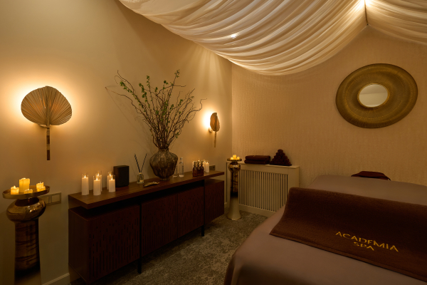 Площадки ACADEMIA Особняк SHUVALOFF