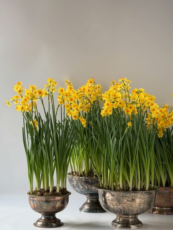 Bridal Shower или праздник невесты — что