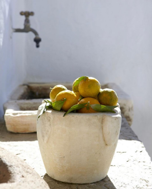 7 самых полезных фруктов и ягод