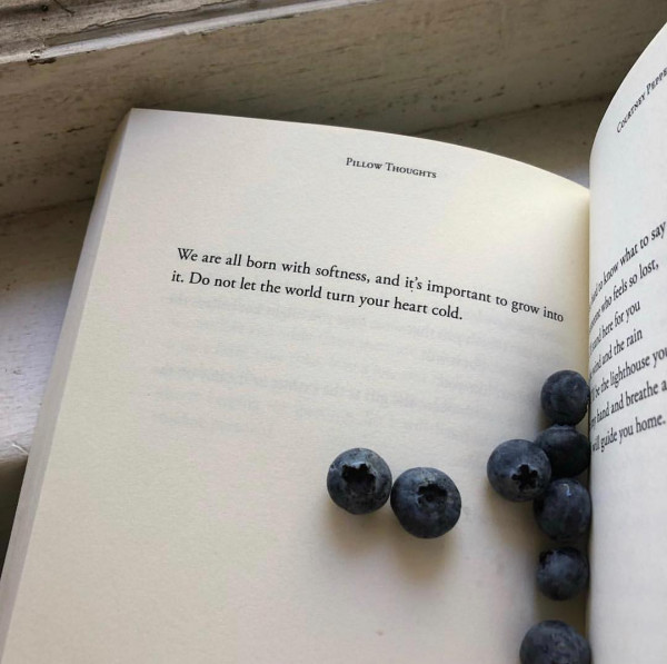 7 самых полезных фруктов и ягод