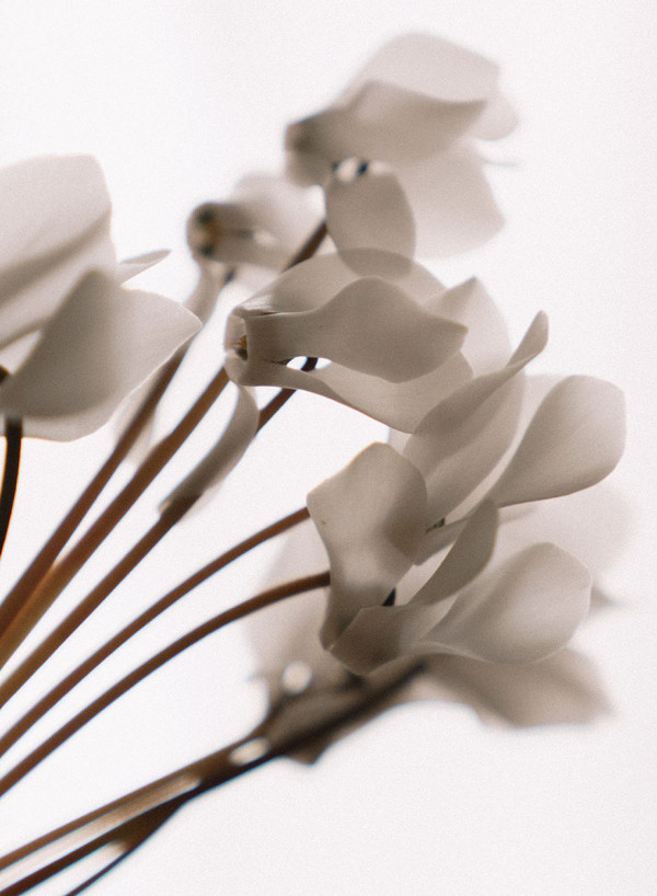 Съемка платьев Татьяны Кочновой в отеле Belmond